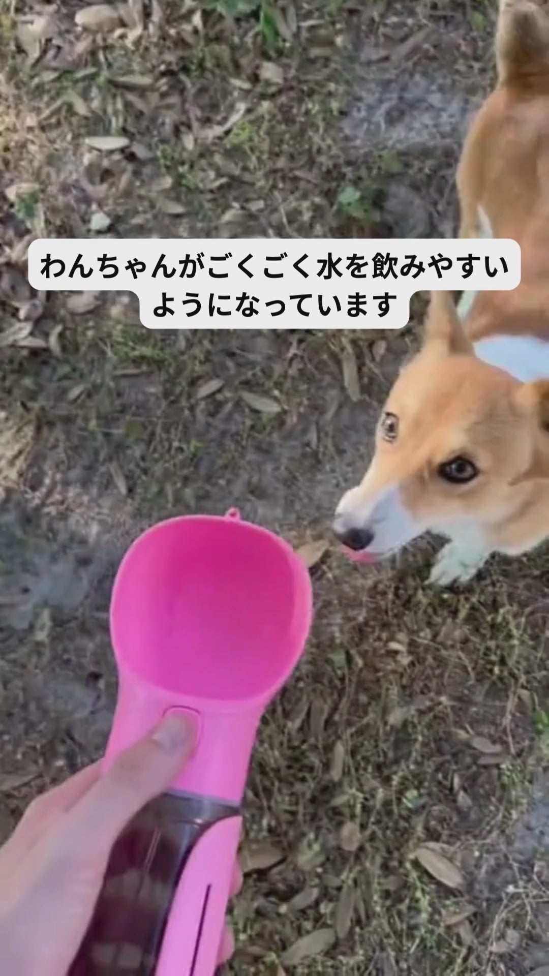 ペット用携帯ボトル（ウォーターボトル・フード入れ・ごみ袋収納一体型ボトル）